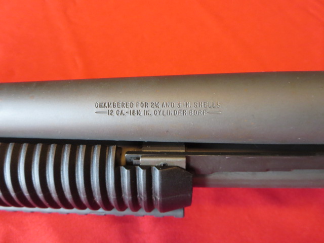 Waff-ank-Clearwater-006