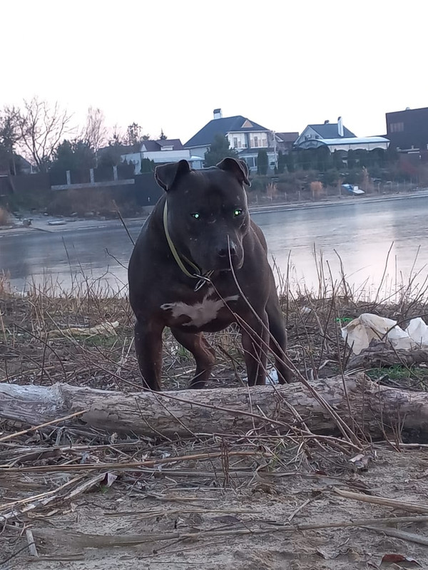 B6867350-F244-4EAA-B510-9D1D6FB13298