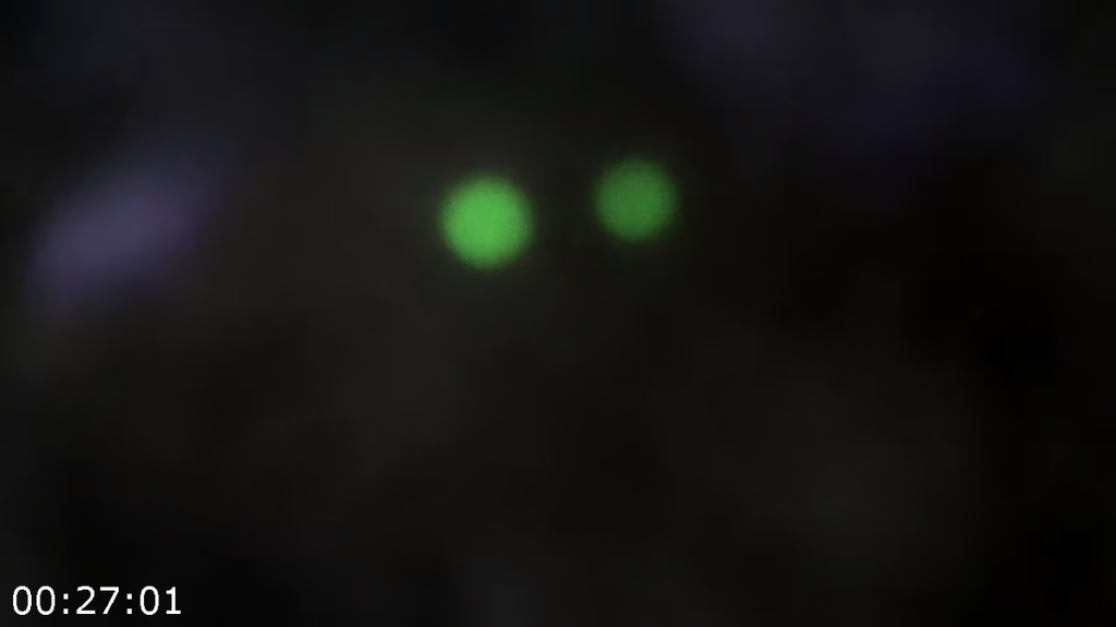 xdbdgre3212c.png