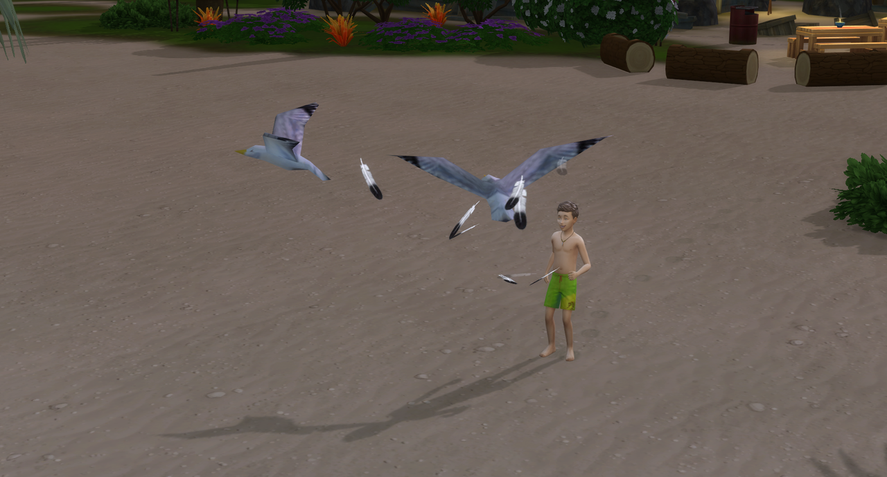 yes-get-out-of-there-seaguls.png