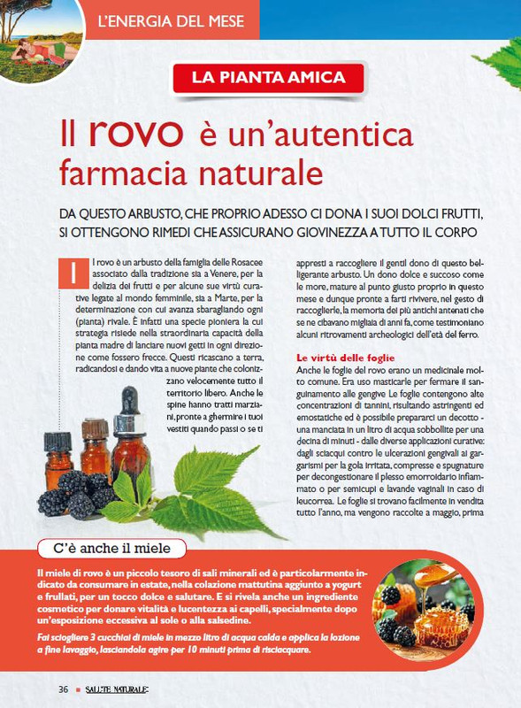 Sal Nat Ago 2024 (5)