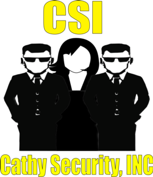 CSI logo