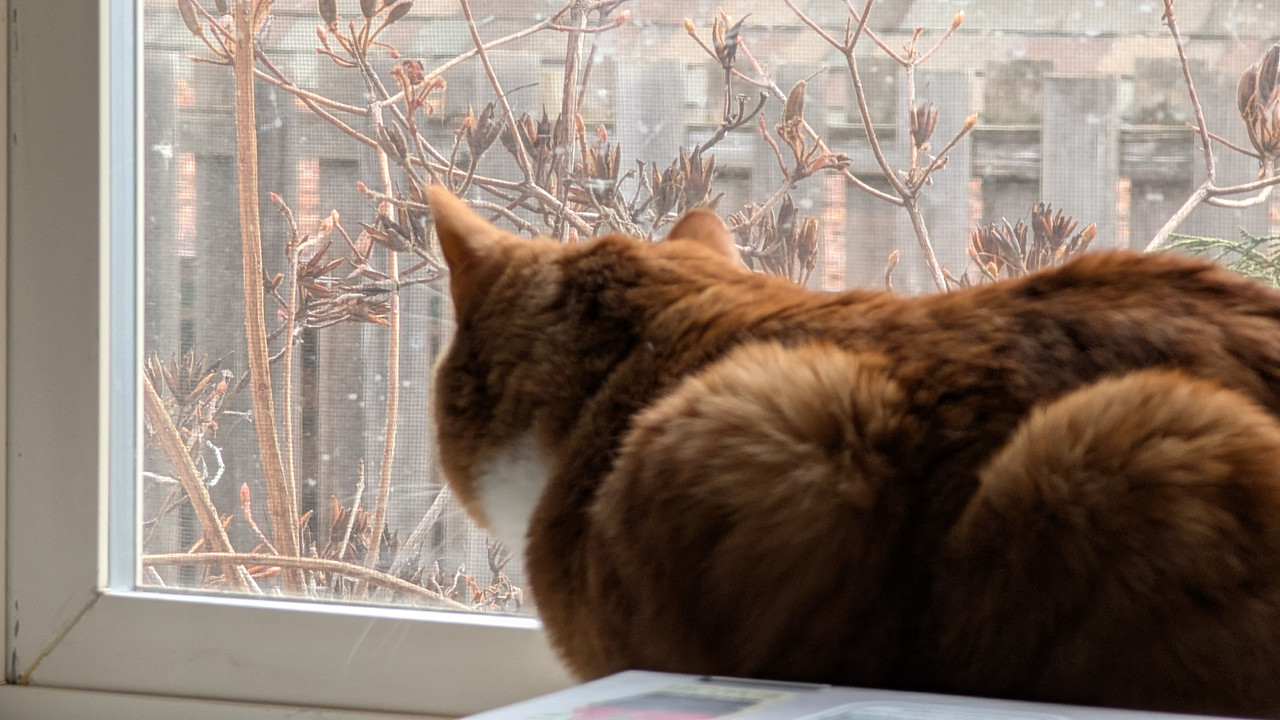 PXL 20260208 223437698