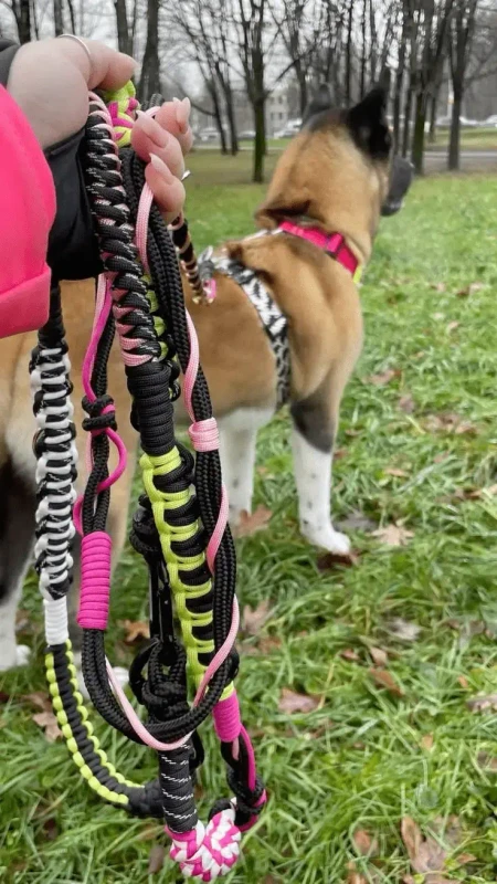 Foto de collar