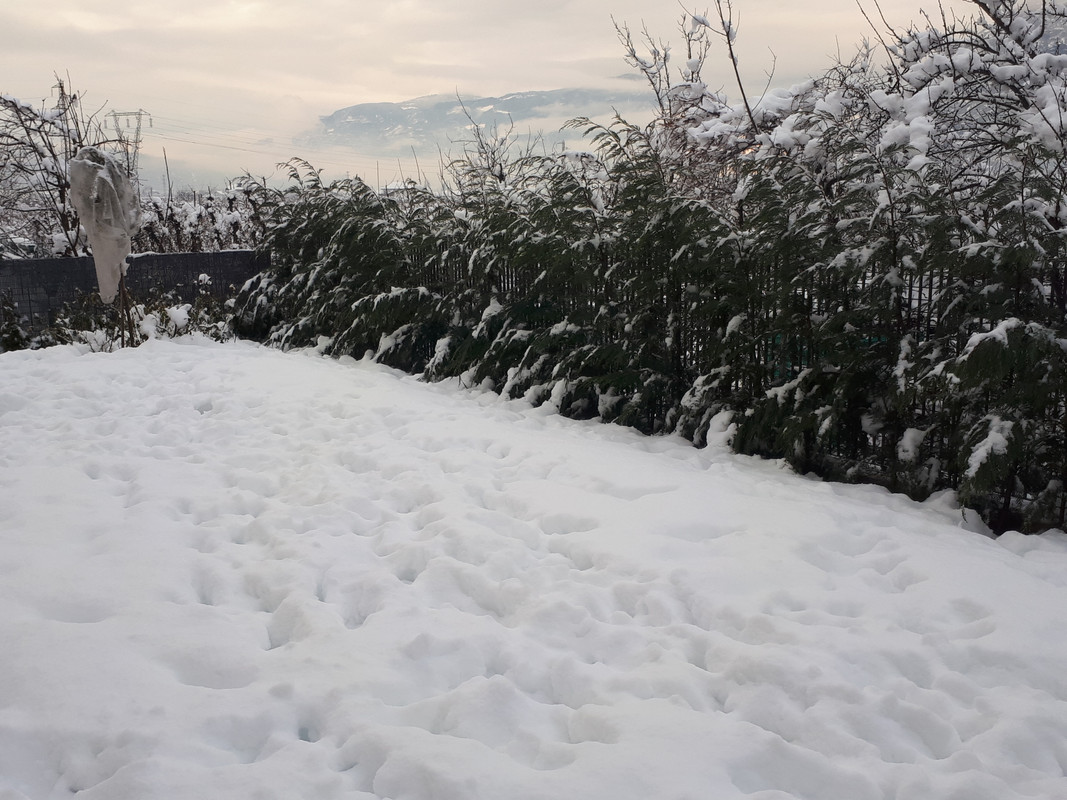 20190202_092429