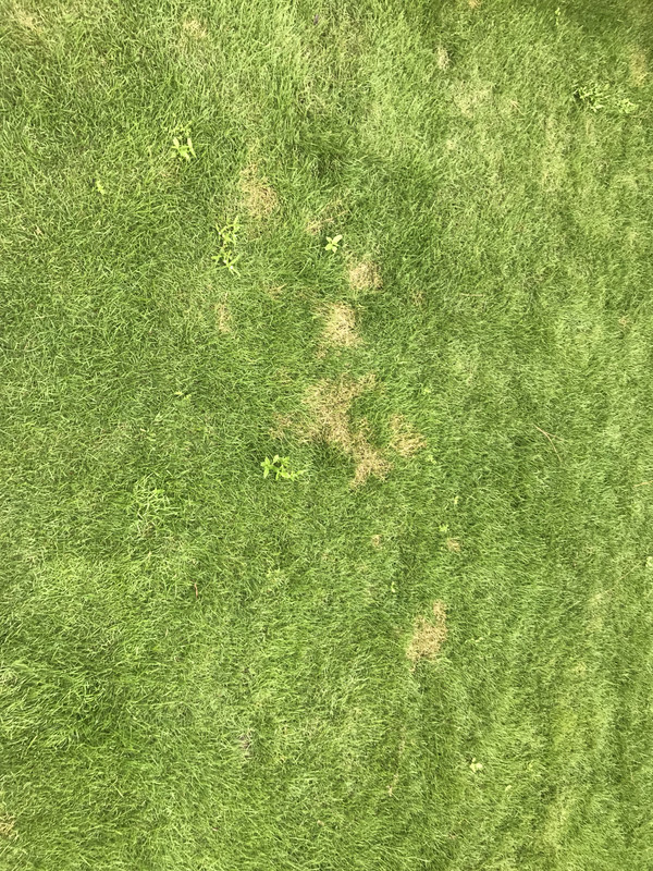 D174F082-2C27-4AB8-AE0E-33F50BF2140F