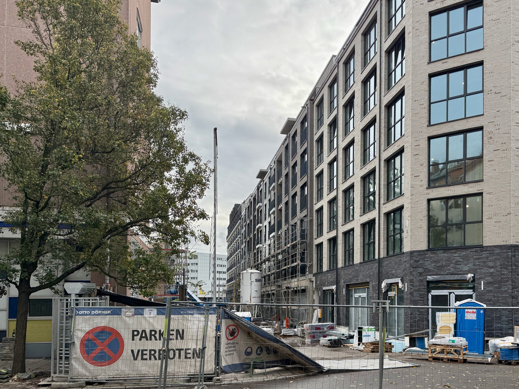 Main-Yard02112025-4.jpg
