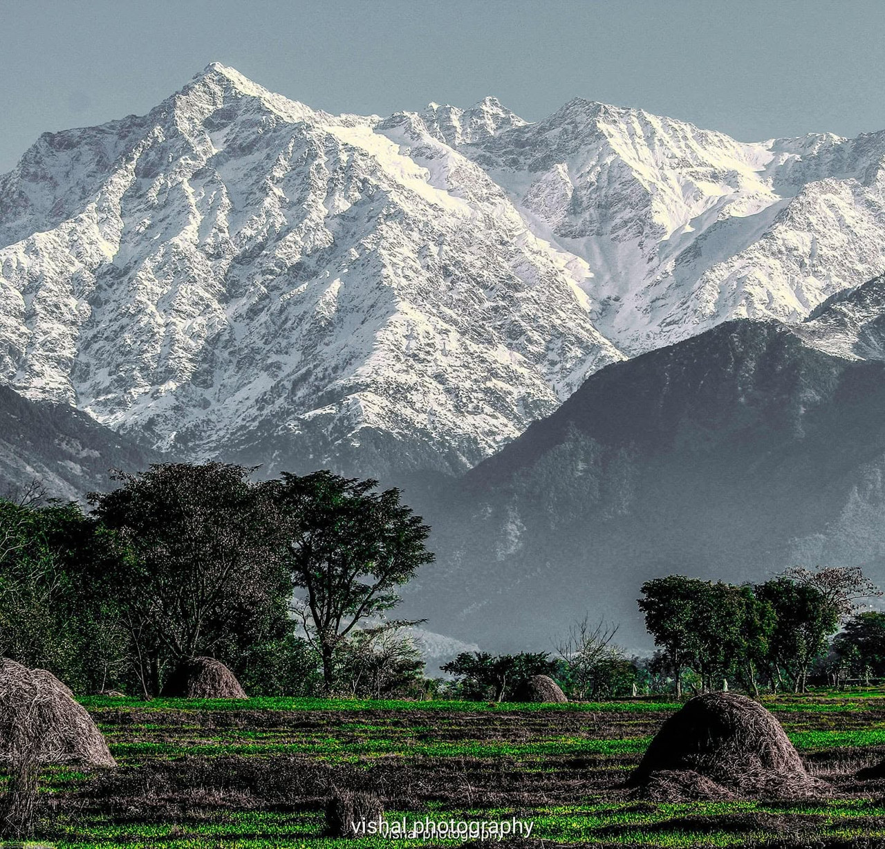 The majestic snow-ladden Dhauladhar peaks