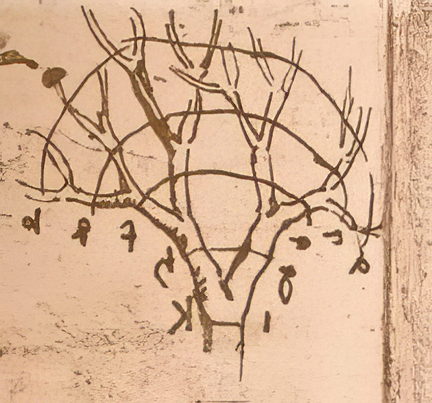 L’Uomo Vitruviano di Leonardo da Vinci. Il corpo umano come misura del mondo 6 02