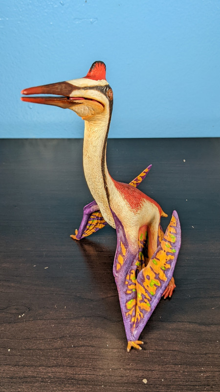 Custom Dinotopia Quetzalcoatlus "Skybax" by paintingdinos PXL-20220306-011908601-MP