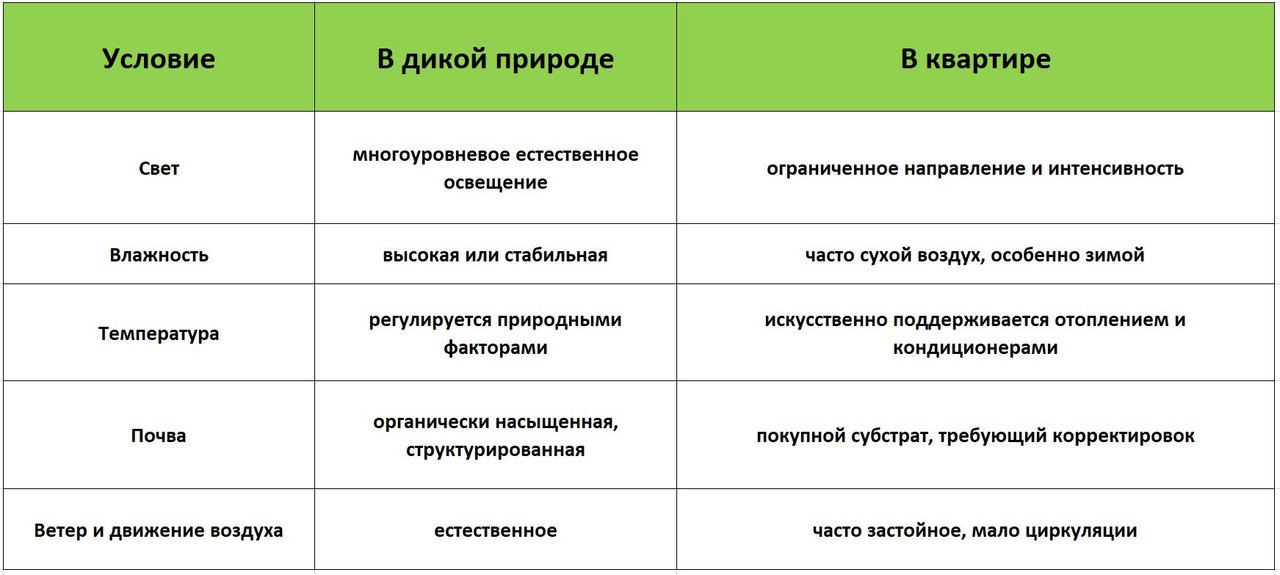 таблица по уходу за растениями