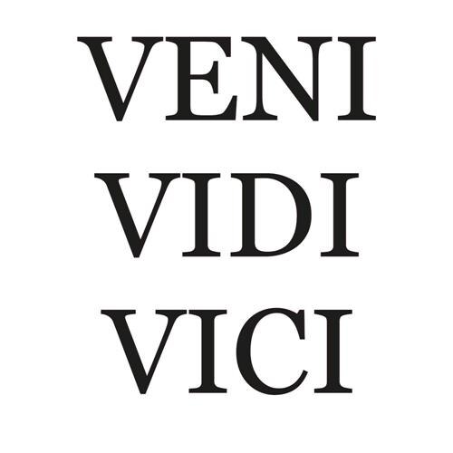 Veni, Vidi, Vici: significado da expressão - Significados