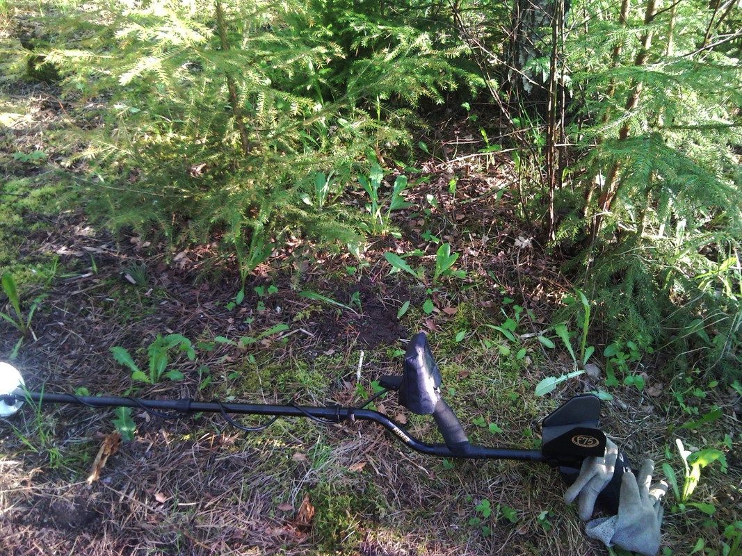 2015-05-21 @20-09-27- löytöpaikka metsäpelto