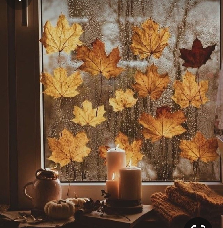 Screenshot_20231128_001203_Pinterest