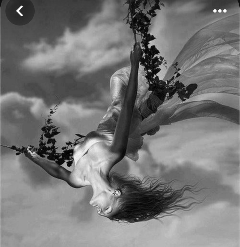 Screenshot_20231128_192656_Pinterest