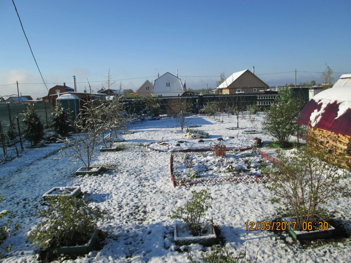 moroz 12 05