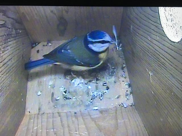 C3914809-D917-4298-874E-52BBFEF6B505