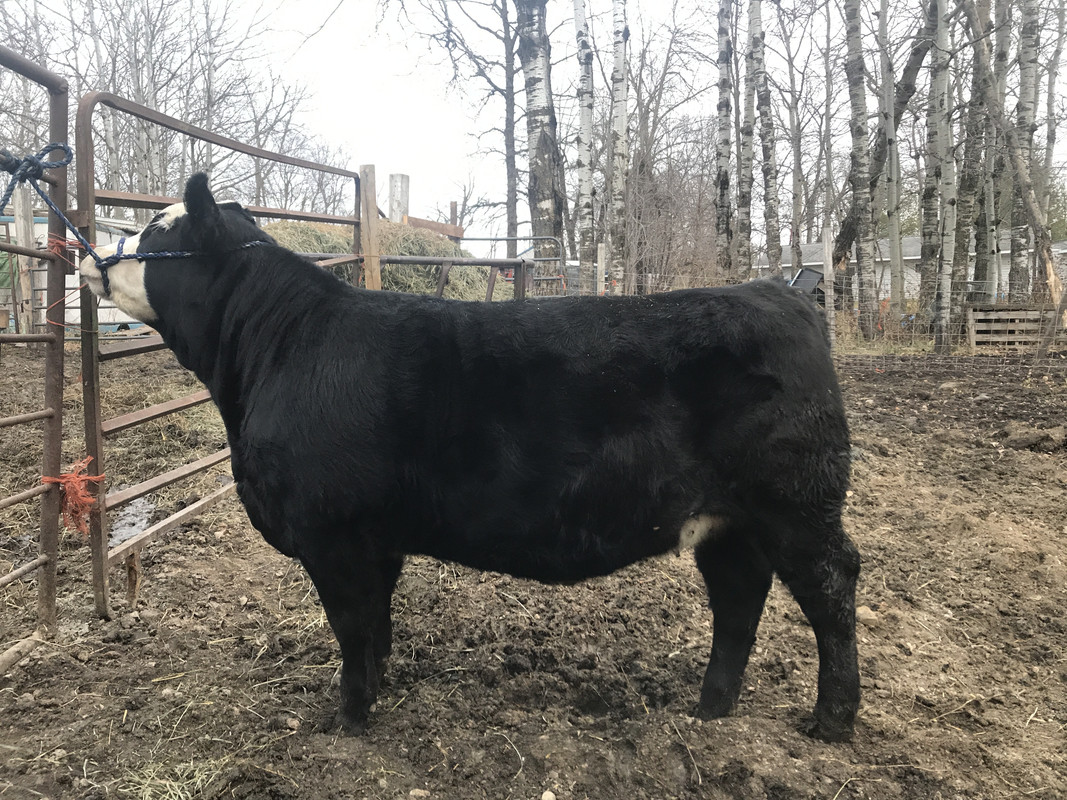 848BF816-5036-46BA-A437-7222BF85411F