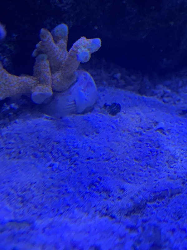 0337C152-32C5-46E7-BAC1-3E750AF3E1EB