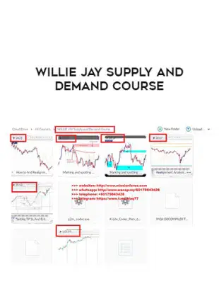 [Image: Willy-Jay-Supply-and-Demand.webp]
