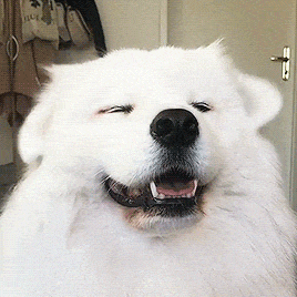 demo3.gif