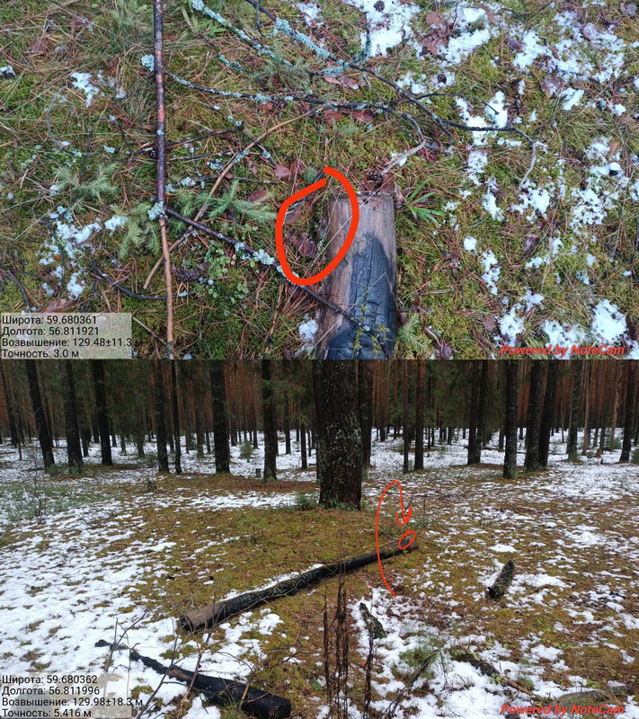 Screenshot 20251119 155815