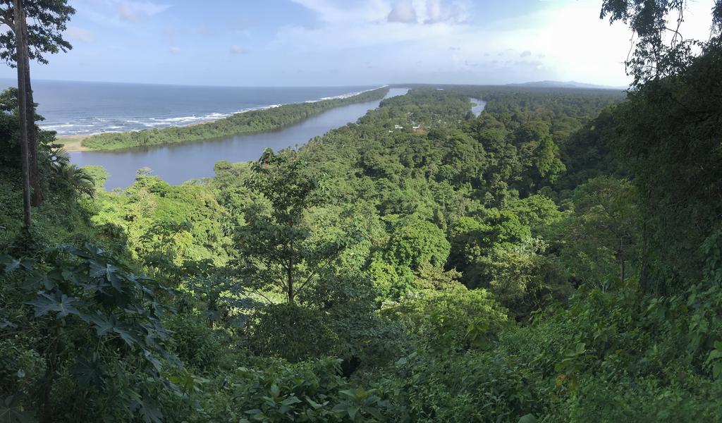 DIA 3: CANALES, COLINAS Y TORTUGAS - DE TORTUGAS Y PEREZOSOS. COSTA RICA 2019 (53)