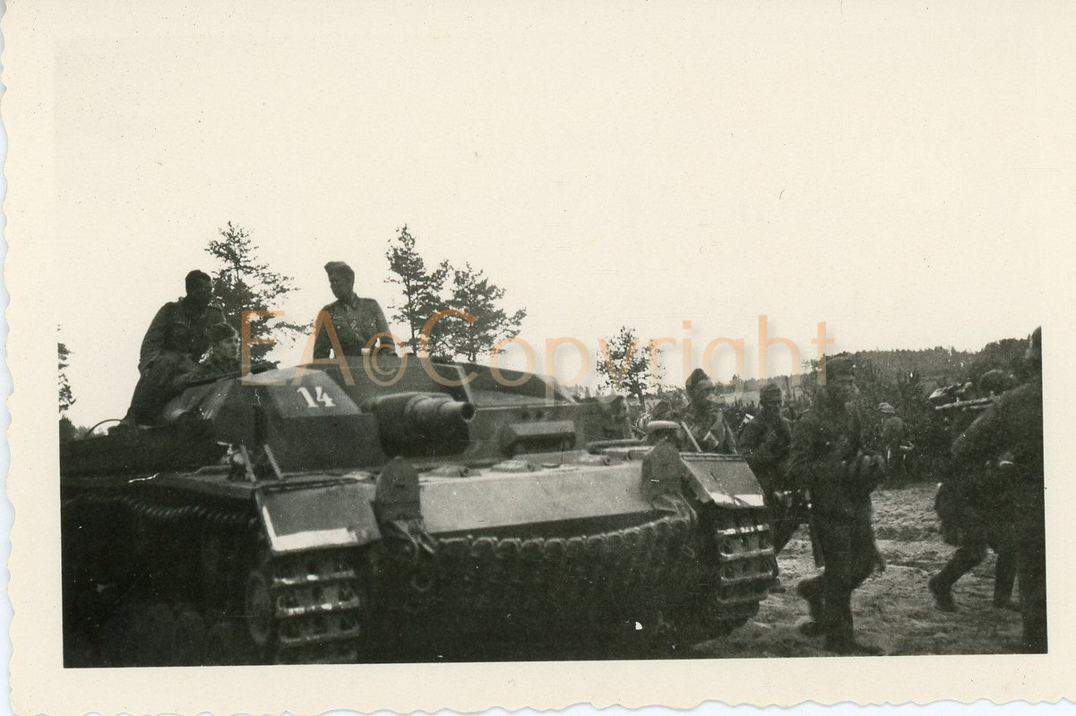 StuG Sturmgeschütz Wappen Kennzeichen 17. Inf. D