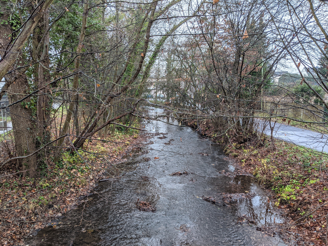 PXL_20201213_111327248