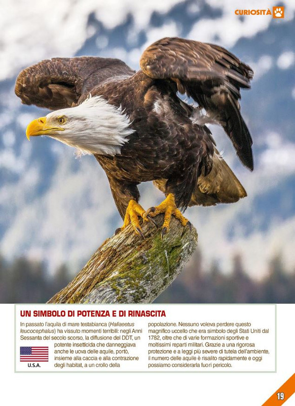 Foc Wil - Ott 2023 (12)