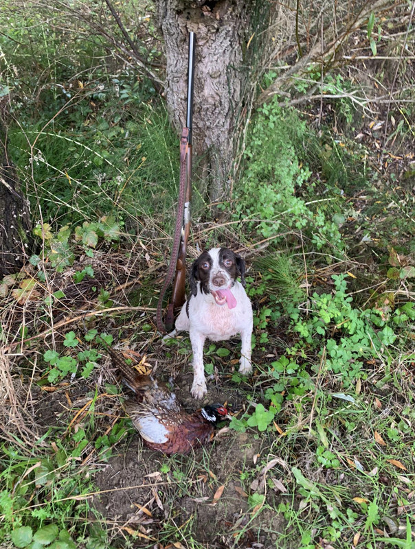 85D5E027-AAAE-4BA4-B228-A2AE173A4C1F