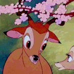 hi-T6m0.gif