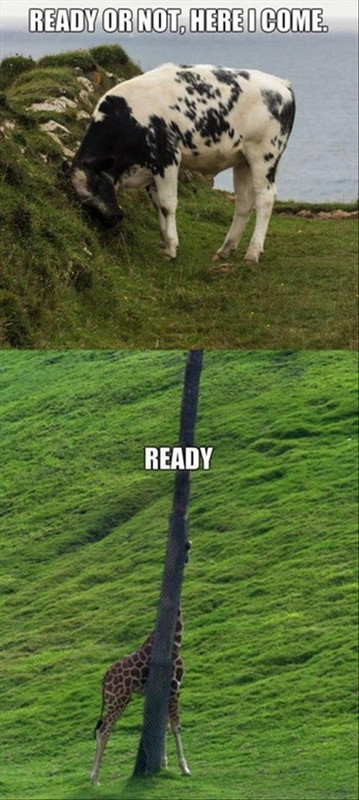 so-close