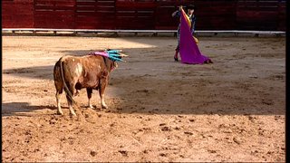 TCLM04-E291-VIA120220514-190548.jpg