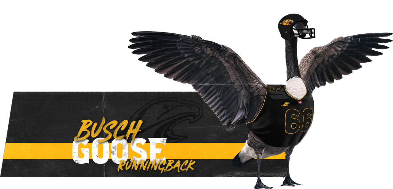 [Image: Signature-Busch-Goose.png]