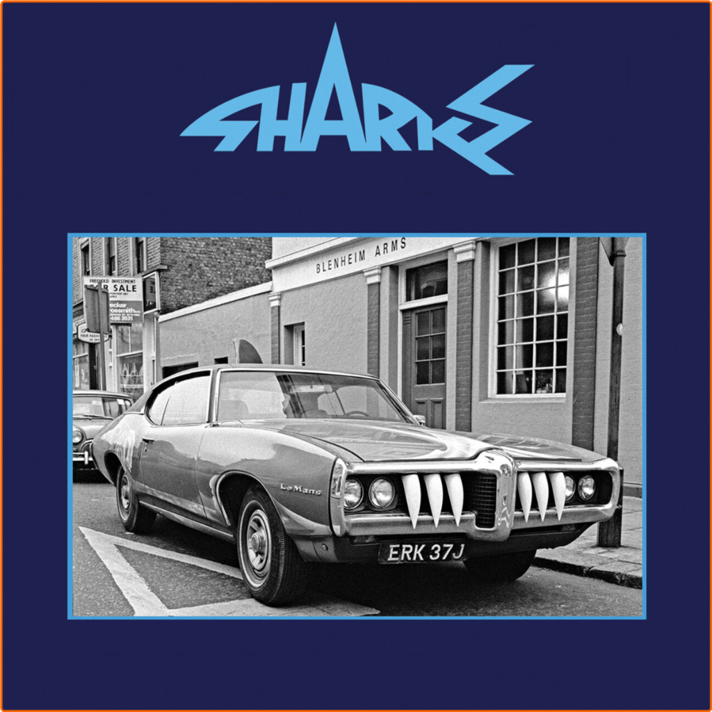 [Image: sj7y7ozv56ps.png]