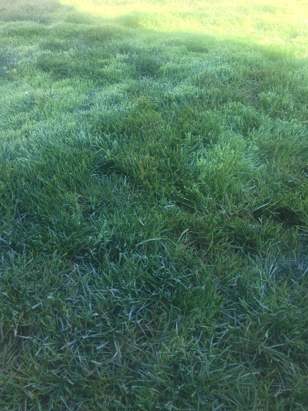 9C9708C7-F950-4458-B60B-C41F6EAA8072