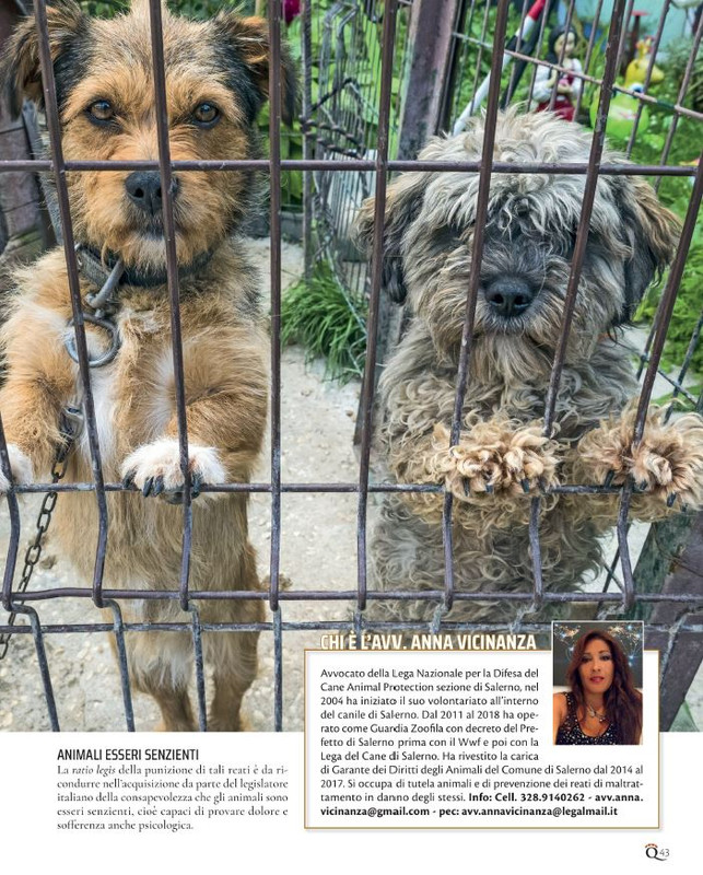 QuattroZampe Ott 2021 (2)