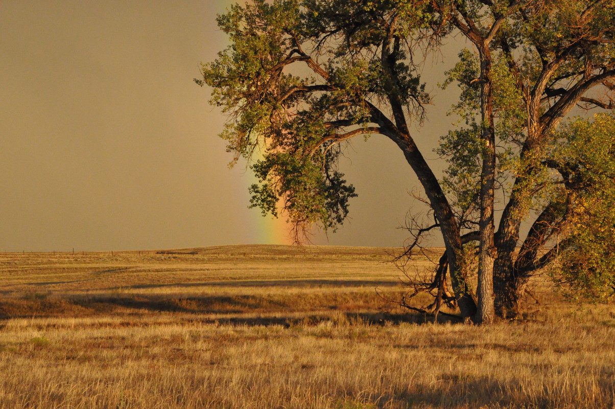 Antelope Grounds