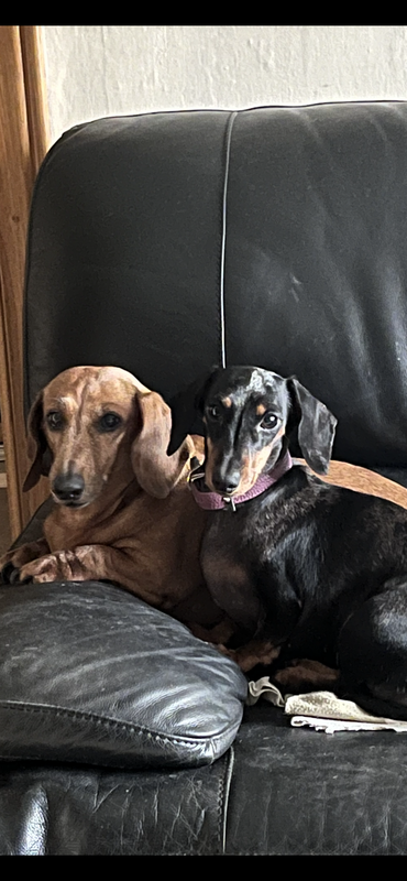 [Image: 70-AD46-B9-5949-4-B19-8-E7-A-D78-F04-B6-A7-F0.png]