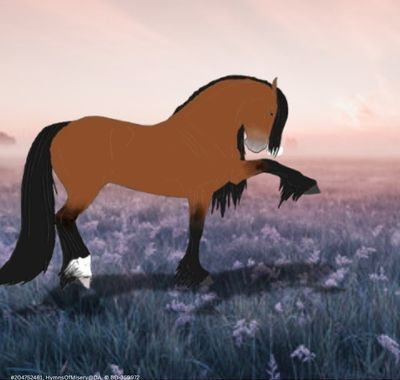 C.jpg