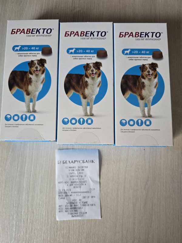 photo_2025-03-23_13-35-15 (2)