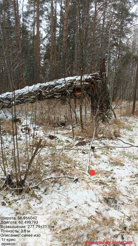 IMG 20251122 184952 315