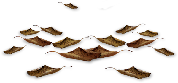 TADD_elements_ShimmerFall (58)