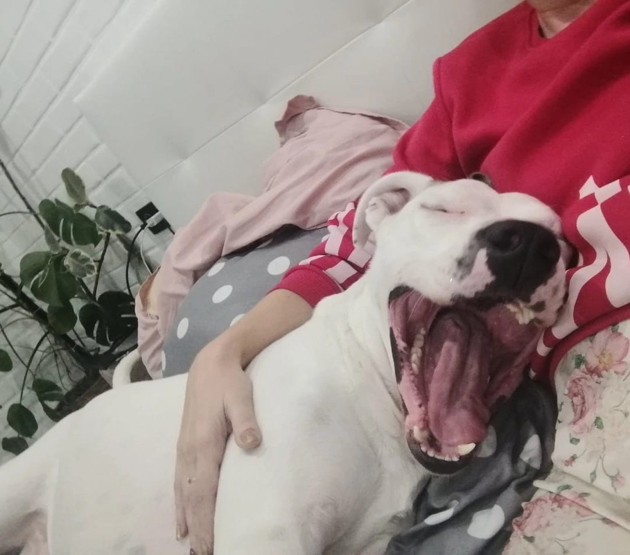 7850C693-E1E9-4961-9D33-10109300C4F5