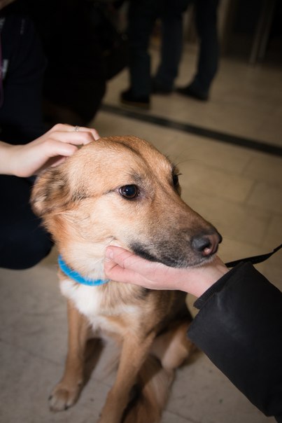 5EBABB28-3E61-41BF-ABCE-741DD603D1AA