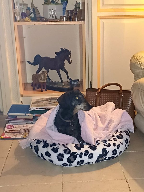 [Image: IMG-20240226-WA0000.jpg]