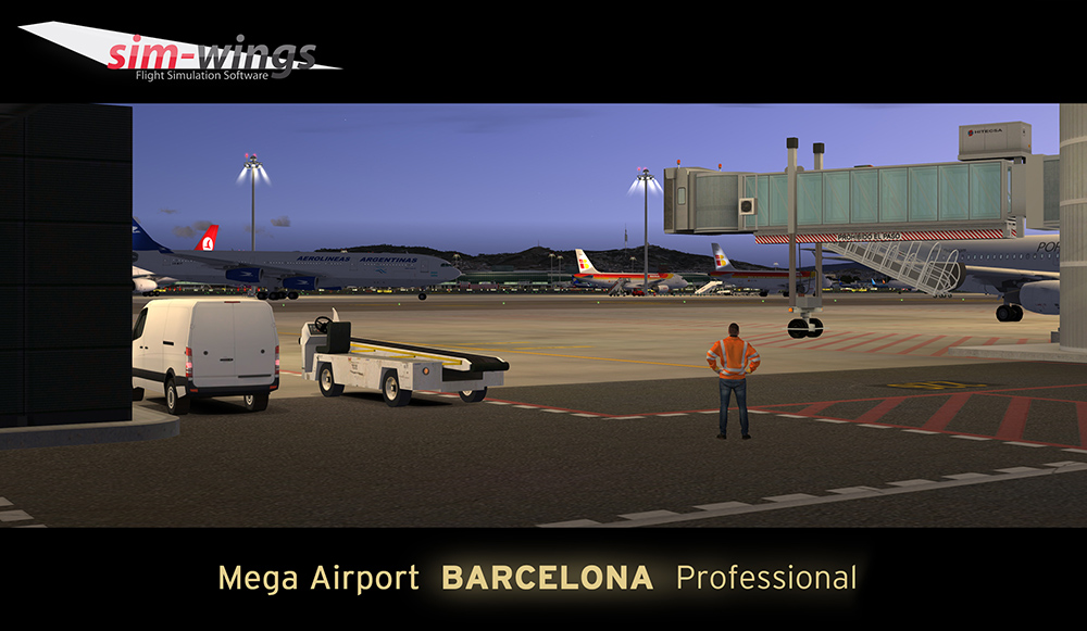 barcelona-professional (12)