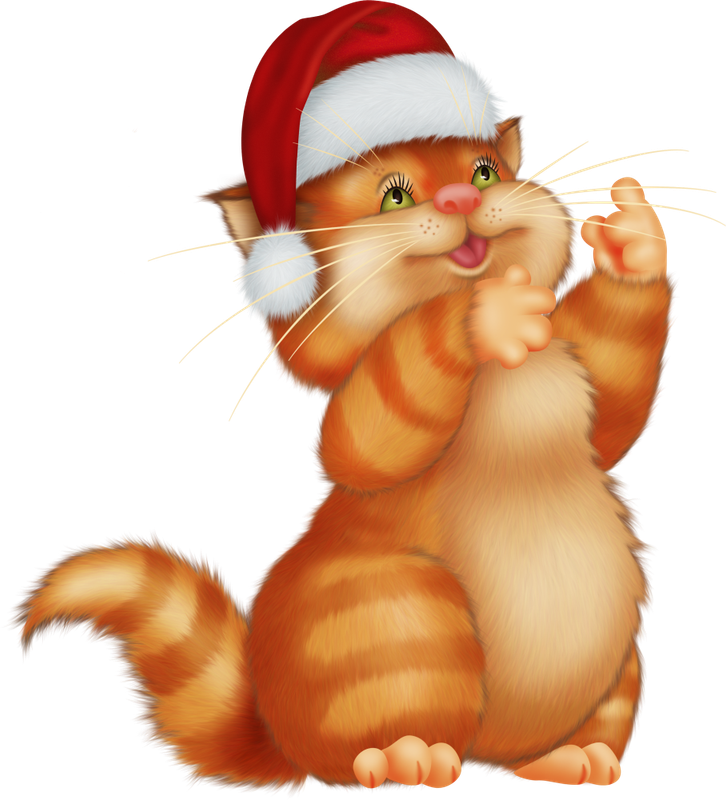 Christmas in Forest21