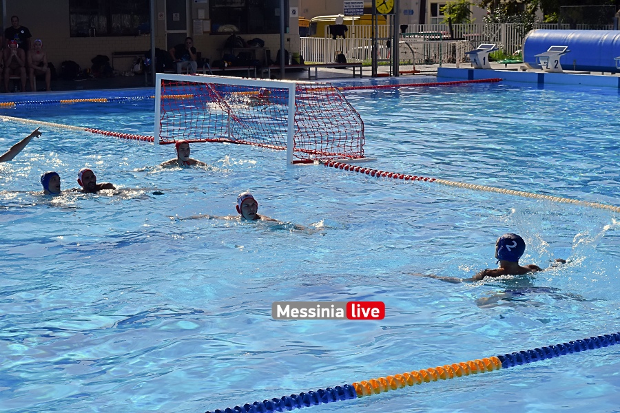 argis-polo-1-11-20251116